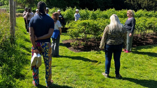 A group of people standing around a Rose bush, in the foreground is a person holding a pair of white trainers with his bare feet on the lawn. It is a bright sunny day and the grass look very green.